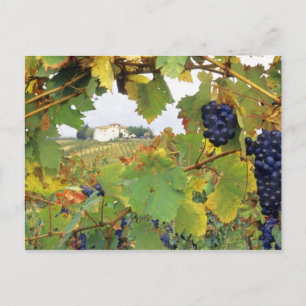 Postal Italia, granja toscana vista