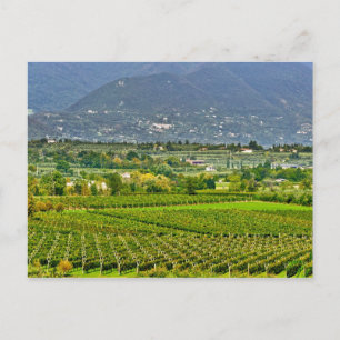 Postal Italia, Lago de Garda. Las orillas del Lago de Gar