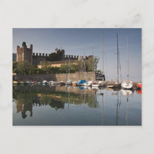 Postal Italia, provincia de Verona, Torri del Benaco. Il