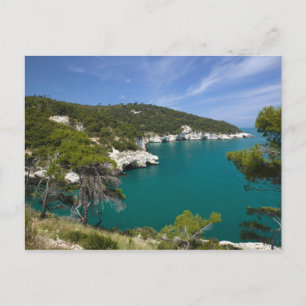 Postal Italia, Puglia, Promontorio del Gargano, Testa