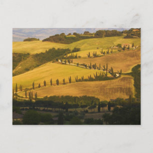 Postal Italia, Toscana, carretera en zig-zag en Toscana.