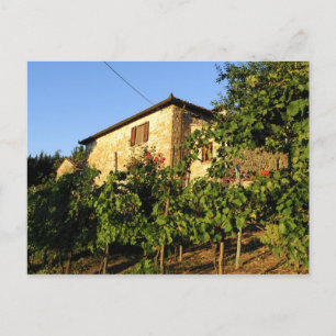 Postal Italia, Toscana, Greve. Escenas de vino a finales
