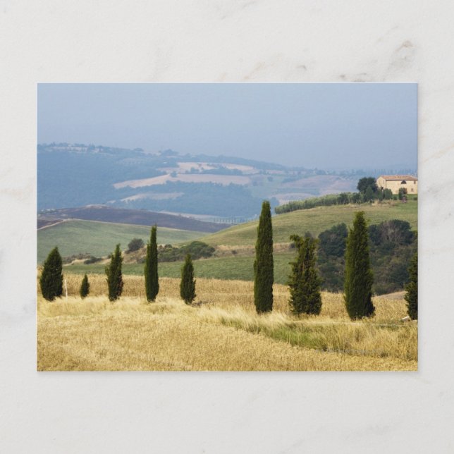 Postal Italia. Toscana. Pienza. (Anverso)