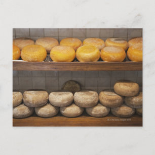 Postal Italia. Toscana. Pienza. 3