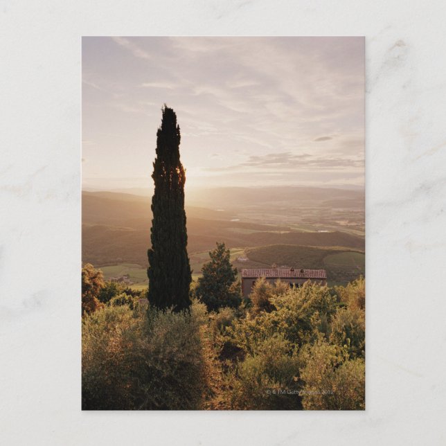 Postal Italia, Toscana, Val d'Orcia, Montalcino (Anverso)