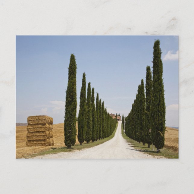 Postal Italia. Toscana. Val D'Orcia (Valle de Orcia) 3 (Anverso)