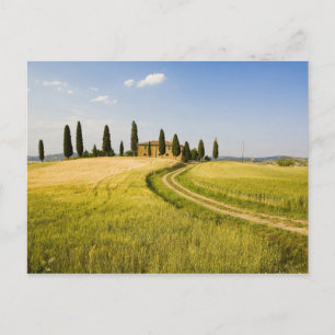 Postal Italia, Toscana, Villa toscana acercándose a la co