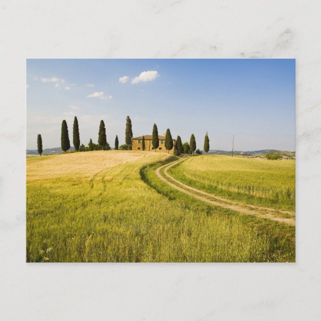 Postal Italia, Toscana, Villa Toscana cerca de Harvest. (Anverso)