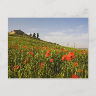 Postal Italia, Toscana, Villa Toscana en Primavera Con