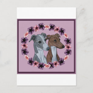 POSTAL ITALIANO GREYHOUND DUO