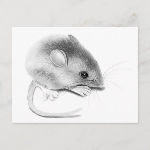 Postal Itty Bitty Mouse
