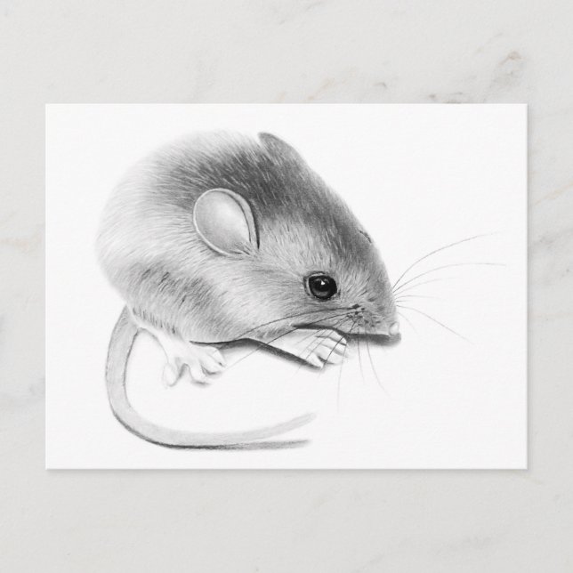 Postal Itty Bitty Mouse (Anverso)