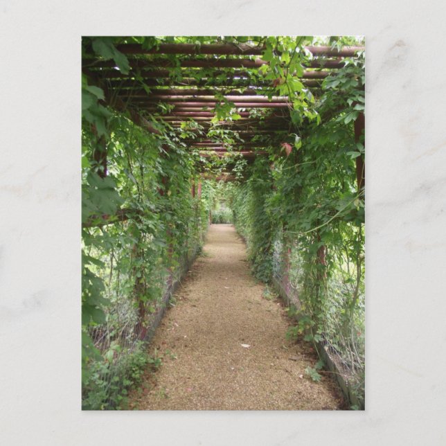 Postal Ivy Covered Walkway (Anverso)