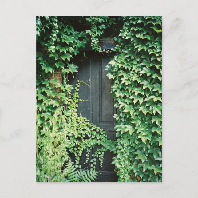 Postal Ivy Door (Anverso)
