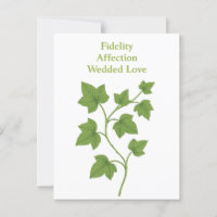 Ivy — Fidelidad, afecto, amor casado