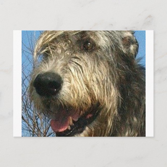 Postal iw.png (Anverso)