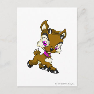 Postal Ixi Brown