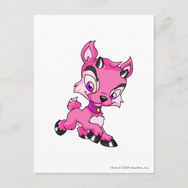 Postal Ixi Pink (Anverso)