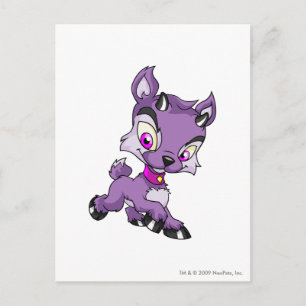 Postal Ixi Purple
