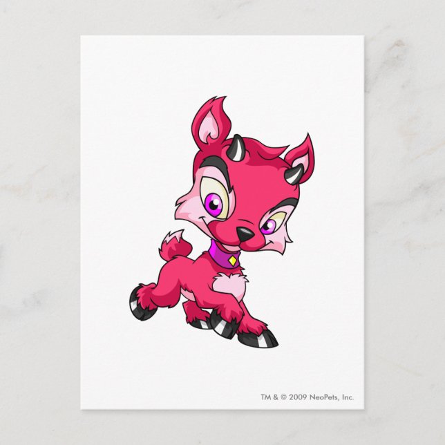 Postal Ixi Red (Anverso)