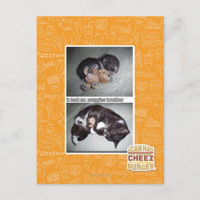 Postal iz hadz mr. snuggies forebber (Anverso)