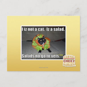 Postal Iz I no un gato. Iz una ensalada