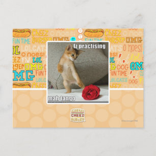 Postal Iz practicando mah tango