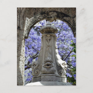 Postal Jacarandi