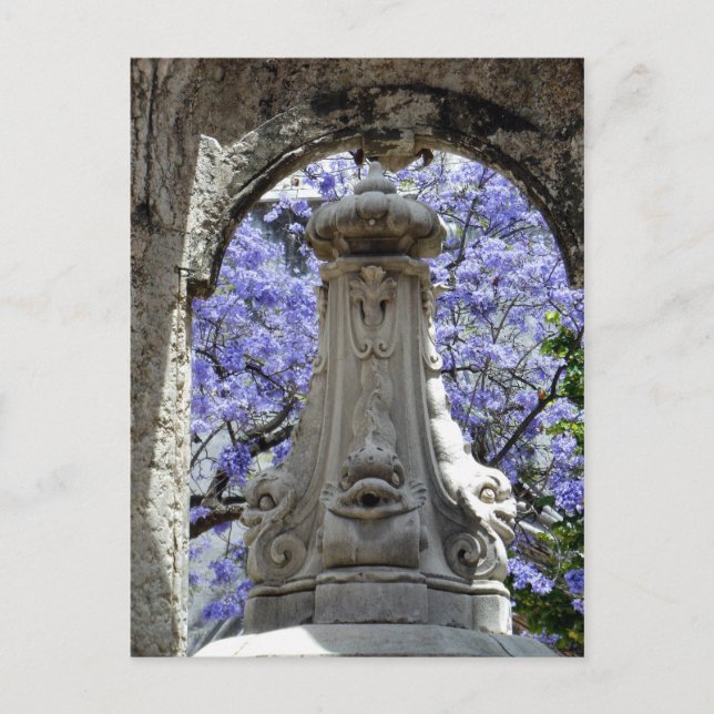 Postal Jacarandi (Anverso)