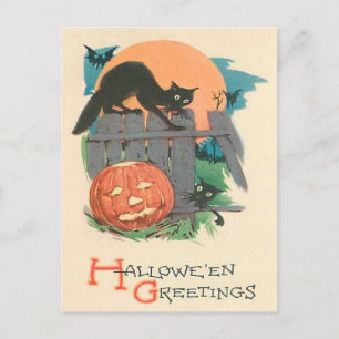 Postal Jack O' Lantern Black Cat Bat Full Moon