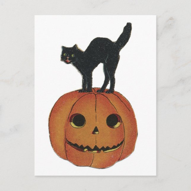 Postal Jack-O-Lantern de Halloween de moda y gato negro (Anverso)