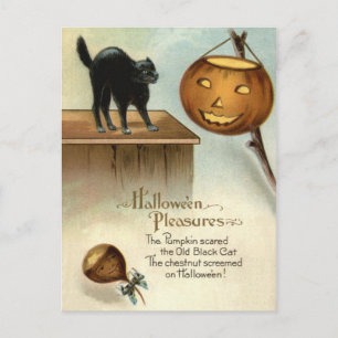 Postal Jack O' Lantern Gato Negro Castaña Calabaza