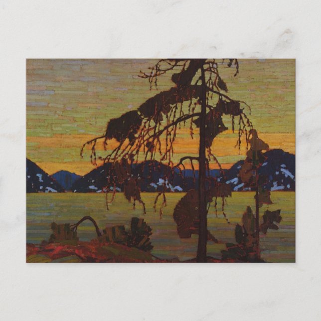 Postal Jack Pine (Anverso)