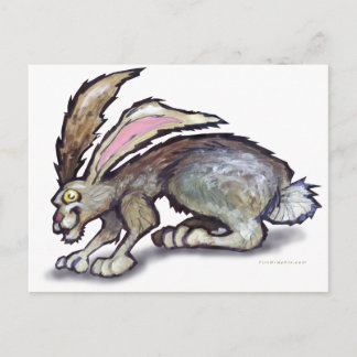 Postal Jack Rabbit