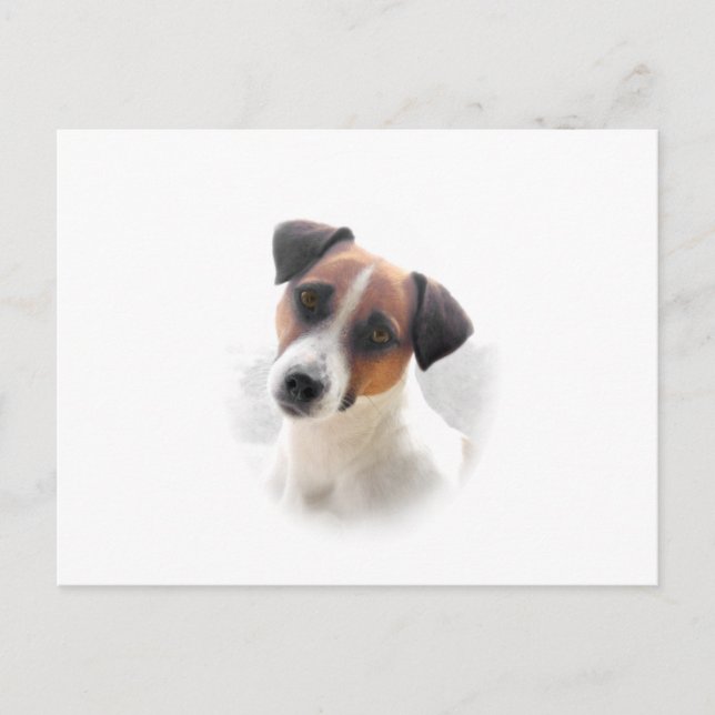 Postal Jack Russell Postcard (Anverso)