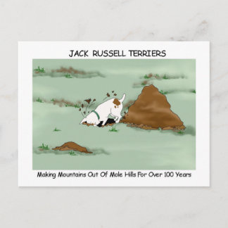 Postal Jack Russell Terrier
