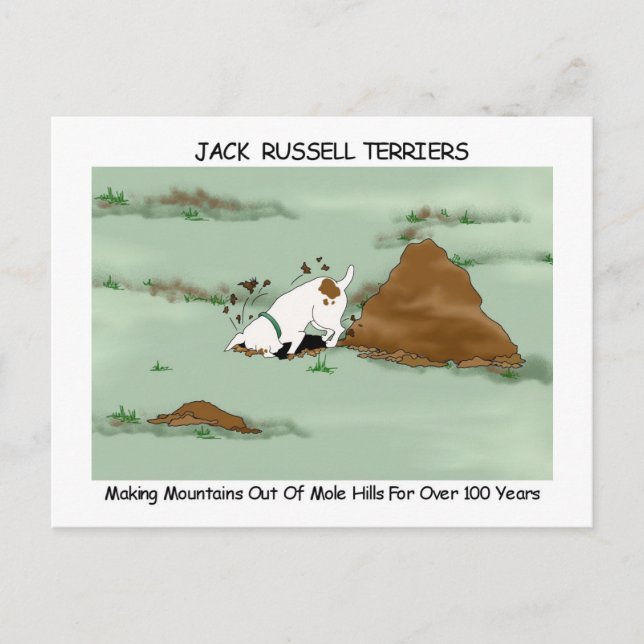 Postal Jack Russell Terrier (Anverso)