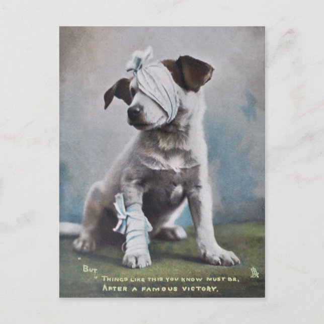 Postal Jack Russell terrier (Anverso)