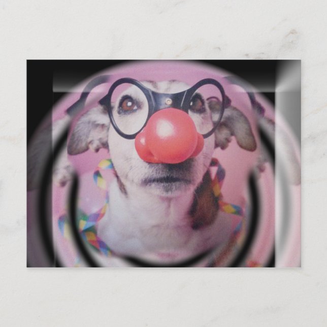 Postal Jack Russell Terrier Feliz Cumpleaños Payaso Loco (Anverso)