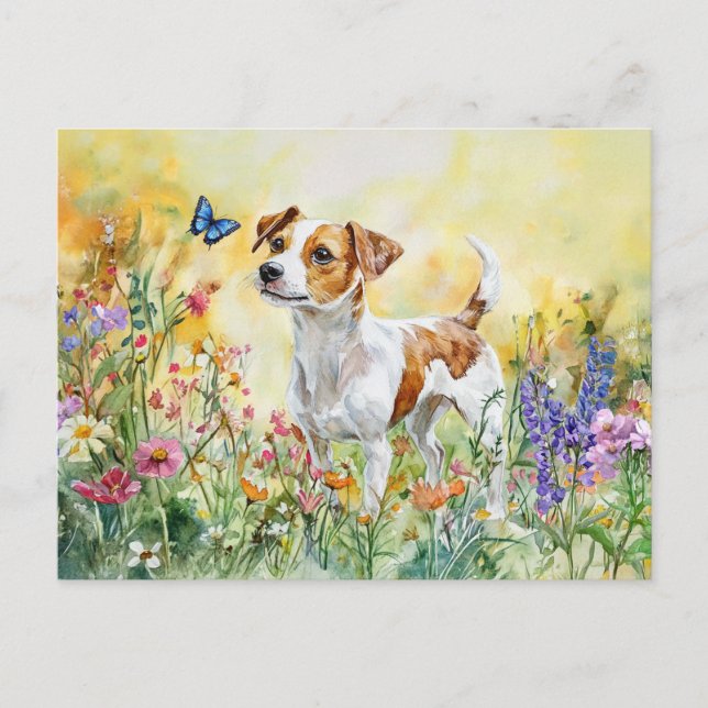 Postal Jack Russell Terrier - Postcard (Anverso)