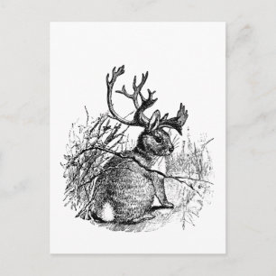 Postal jackalope