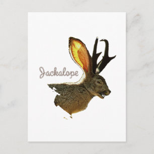 Postal Jackalope