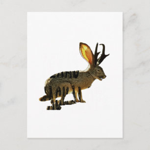 Postal Jackalope