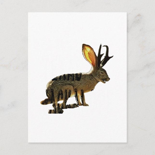 Postal Jackalope (Anverso)