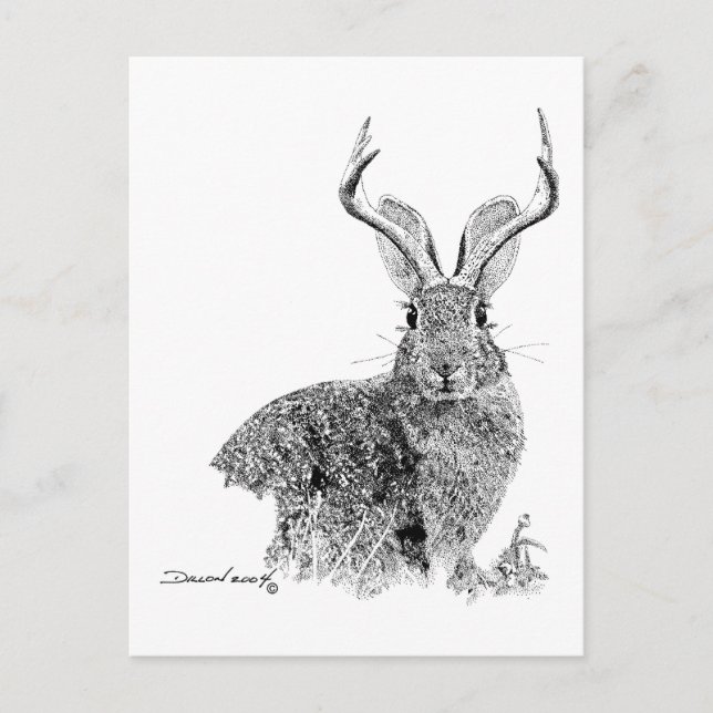 Postal Jackalope (Anverso)