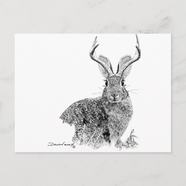 Postal Jackalope (Anverso)