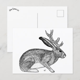 Postal Jackalope