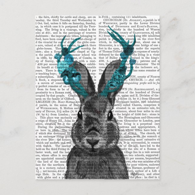 Postal Jackalope con las Antillas Turquesas (Anverso)