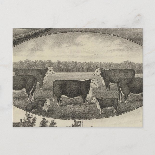 Postal Jackson Farm, Kansas (Anverso)