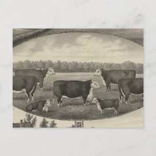 Postal Jackson Farm, Kansas